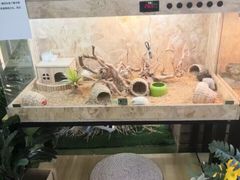 -天虹购物中心(石路店)