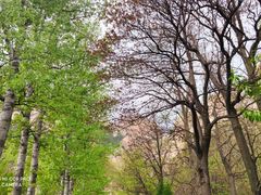 -昆嵛山石门里景区