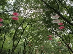 -广州市白云山风景名胜区