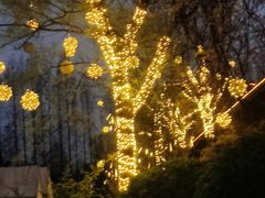 -祥源·阜阳生态乐园