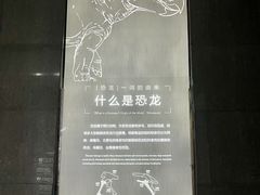 -中国西峡恐龙遗迹园
