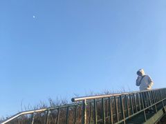 -涉地可支