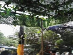 -三圣花乡旅游区