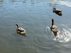 -石家庄市动物园