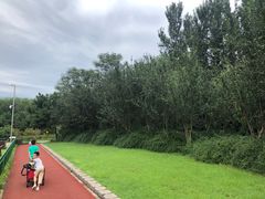 -奥林匹克森林公园南门-停车场