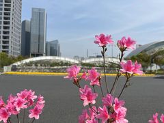 -天鹅湖体育公园