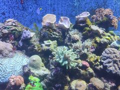 -珠海长隆海洋王国