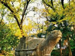 -灵谷景区