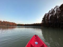 -上海海湾国家森林公园