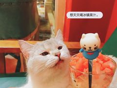 -猫色咖啡·猫咖