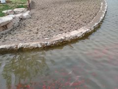 景点-西海子公园