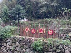 -林坑古村落