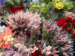 -循礼门鲜花花市(武汉循礼门店)