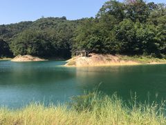 -广州市流溪河国家森林公园