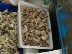 -宾朋海鲜特色美食餐厅·纯手工鲅鱼水饺(兴海路店)