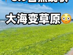 -日照灯塔风景区