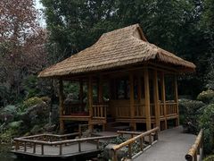 -望江楼公园