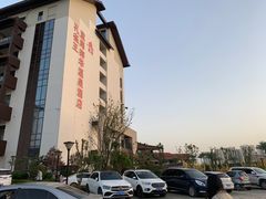 -齐河孔雀王温泉酒店·金孔雀自助百汇