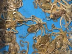 -龙宴海鲜城(经中路店)