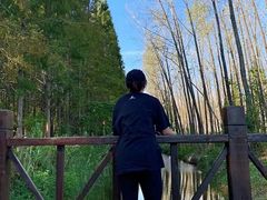 -黄海国家森林公园