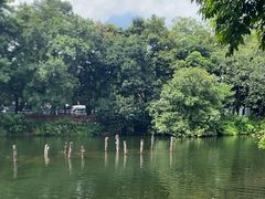 -侨美·唐荔园·40年地道粤菜