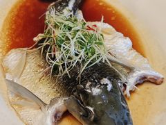 清蒸山坑皖鱼-寻味顺德·顺峰山庄(大良店)