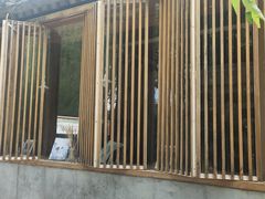 -春风习习