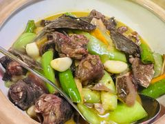 古法甲鱼煲-甲王二老长沙口味馆