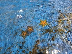 -杭州野生动物世界