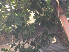 -宁曼路
