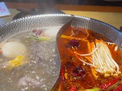 -手选潮汕鲜牛肉火锅(二七广场店)