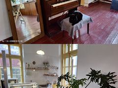 -春风十里咖啡馆