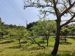 -中国移动南方基地