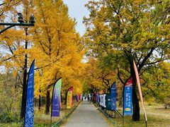 -国家植物园南园