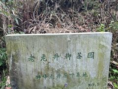 -十八棵（老龙井）御茶园(老龙井店)