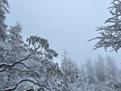 -瓦屋山景区