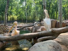 -北京野生动物园