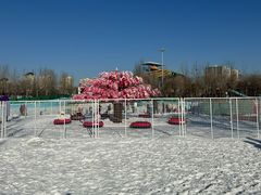 -欢乐水魔方水世界