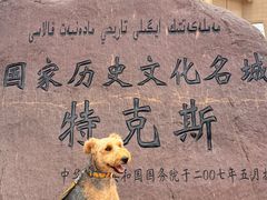 -特克斯八卦城
