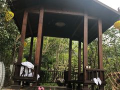 -美的鹭湖森林度假区