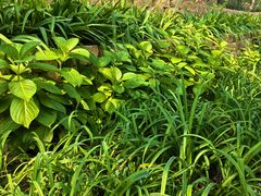 -长辛店二七公园