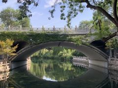 -济南大明湖景区