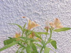 -Cafe on warm(丹霞店)