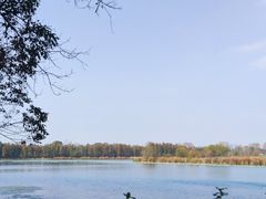 -东湖落雁景区
