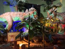 -恐龙探索乐园(磁器口店)