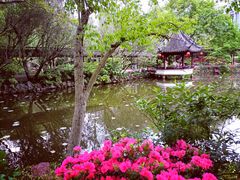 -上海醉白池公园