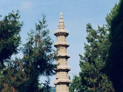 -隆兴寺