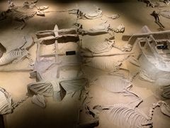 -洛阳周王城天子驾六博物馆