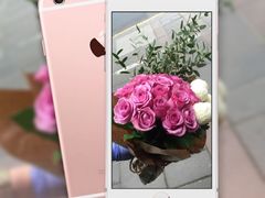 -静岸花卉园艺(三星坊店)