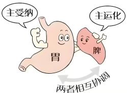 -归位瑜伽&归位普拉提
